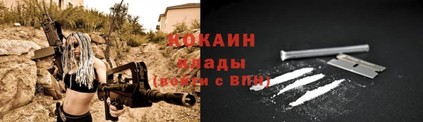 мескалин Бородино