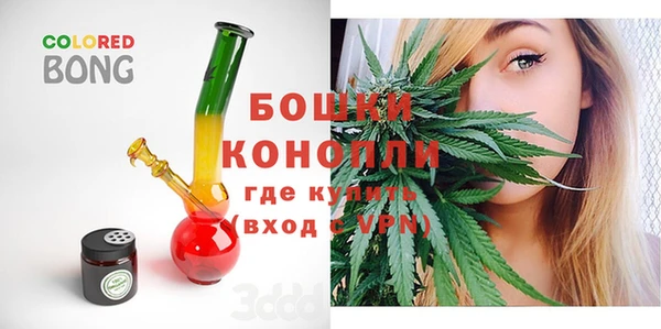 spice Верея