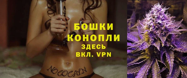 spice Верея