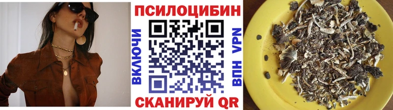 Псилоцибиновые грибы прущие грибы МЕГА онион Петропавловск-Камчатский
